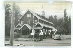 1950-D3177