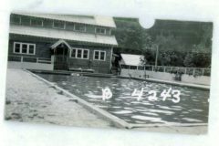 1950-D4243