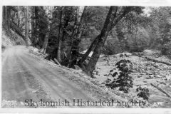 garland-simmer-836